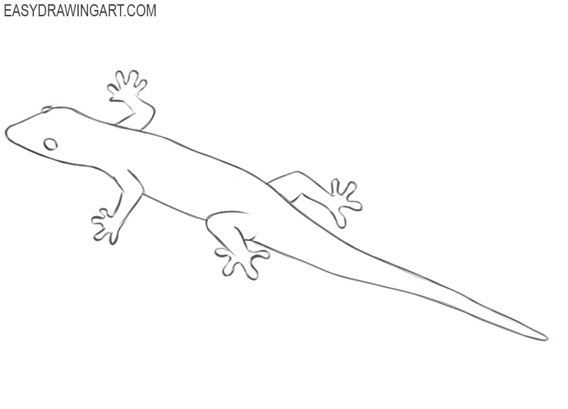 how to draw a lizard cartoon