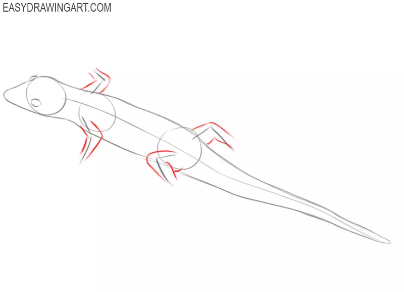 how to draw a lizard for kids