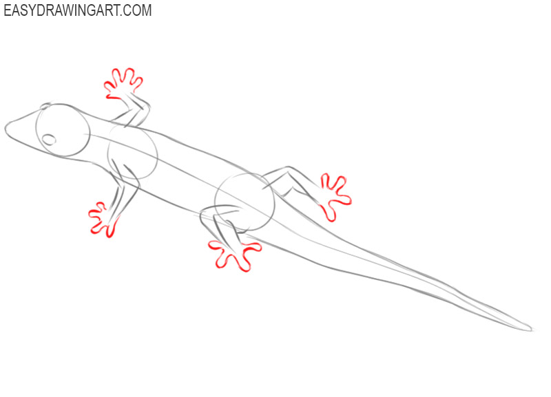 how to draw a lizard step by step easy