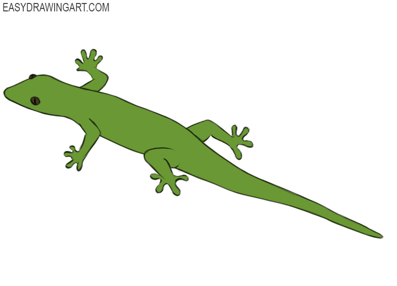 how to draw a lizard