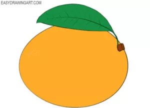 How to draw a mango