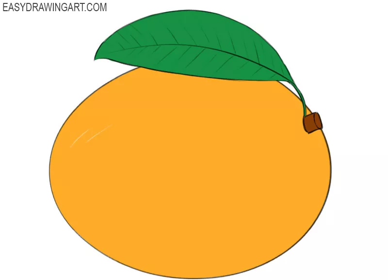 Mango hand drawing. mango vector illustration for design with line style  16364989 Vector Art at Vecteezy