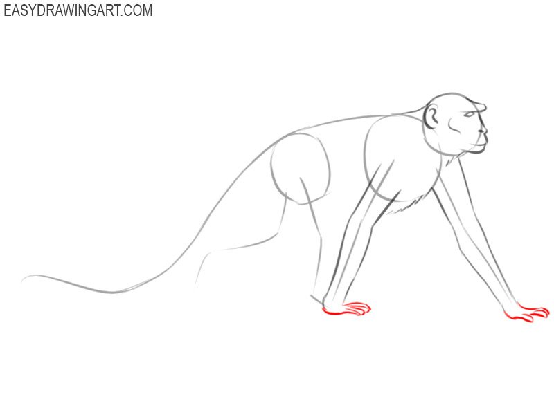 how to draw a monkey easily