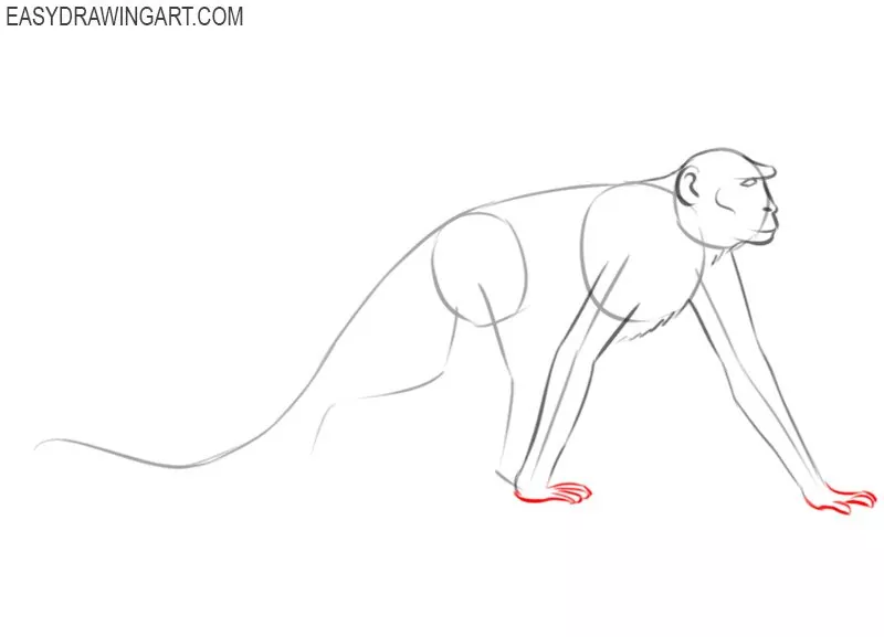 how to draw a monkey easily