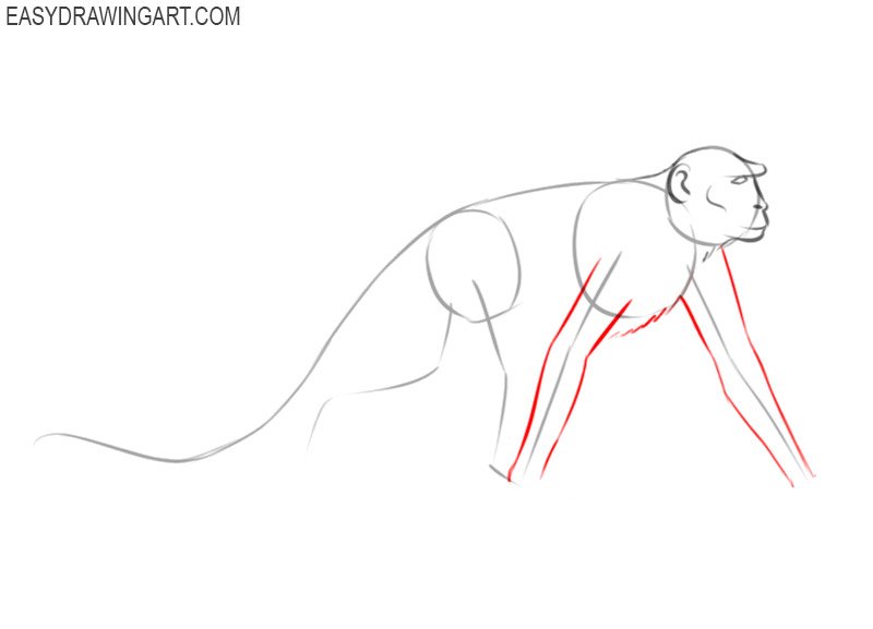 how to draw a monkey easy step by step