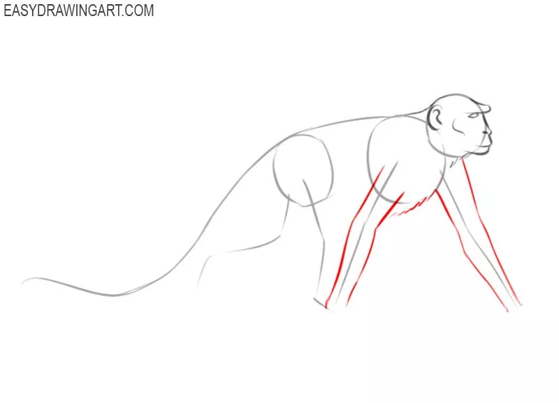 how to draw a monkey easy step by step