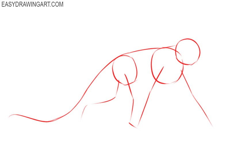 how to draw a monkey step by step