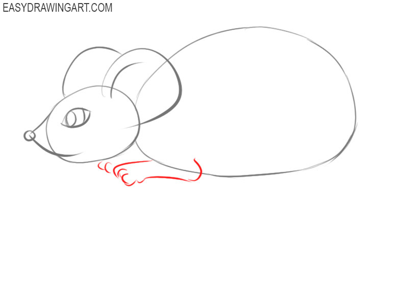 How to draw a cute mouse easy