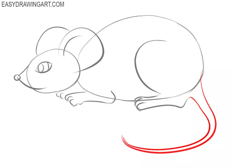 How to draw a mouse easy step by step