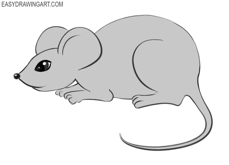 How To Draw A Mouse Easy Drawing Art