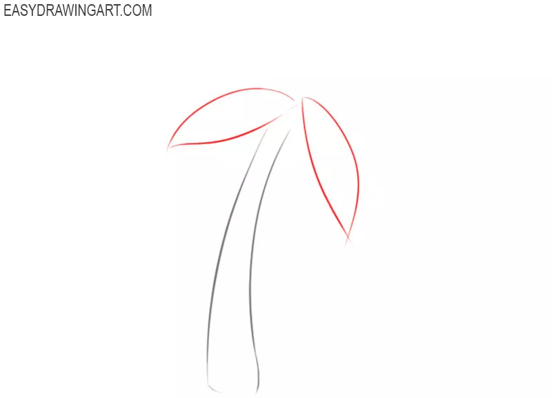 how to draw a palm tree easy step by step