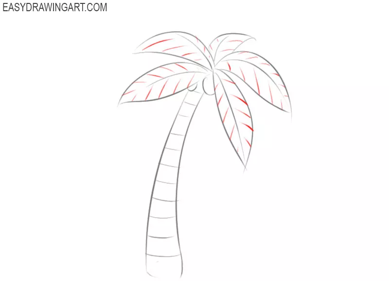 how to draw a palm tree for beginners