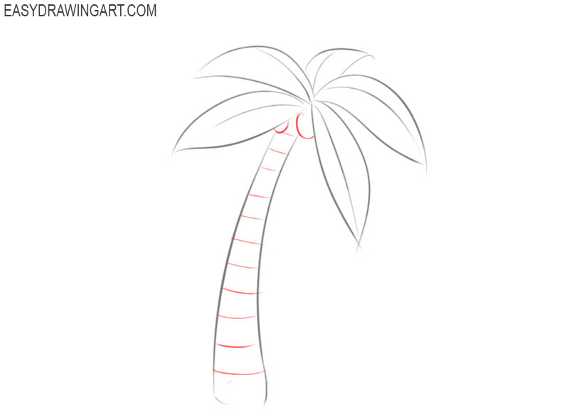 how to draw a palm tree step by step easy