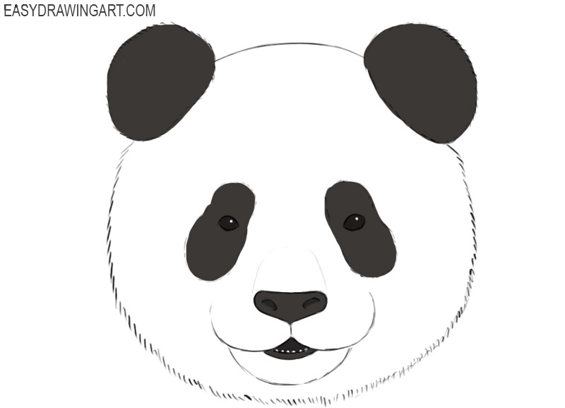 how to draw a panda face