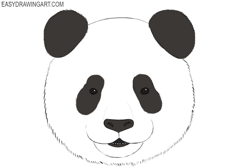 Panda Drawing Easy 