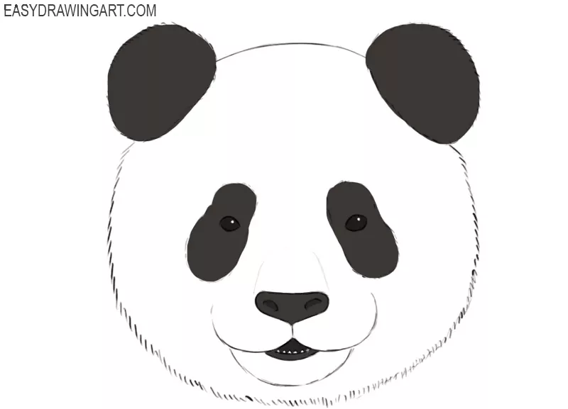 How to Draw a Panda Face - Easy Drawing Art