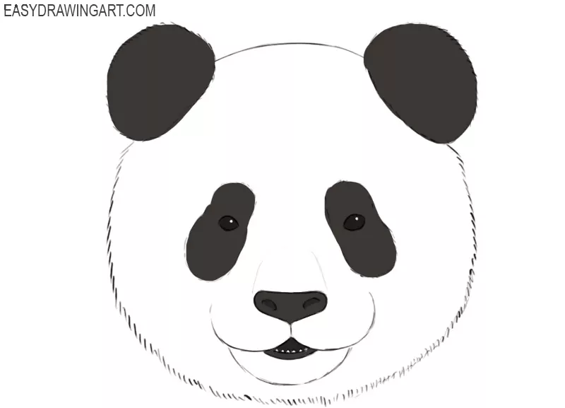 panda face drawings