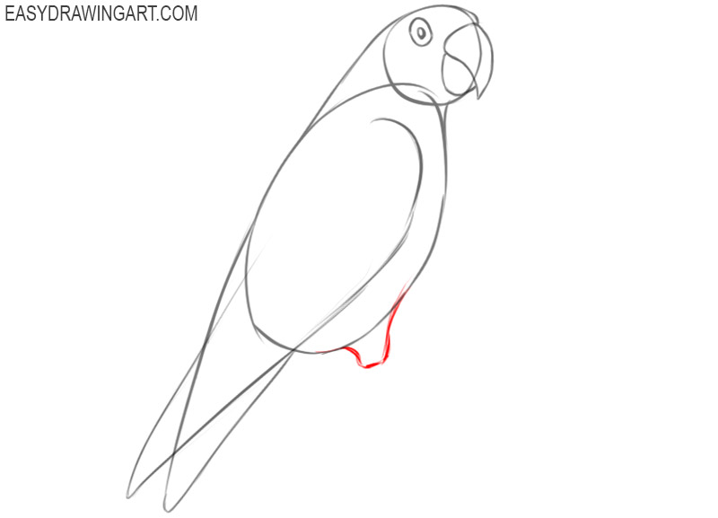let's draw cartoon a nice multicoloured macaw full body