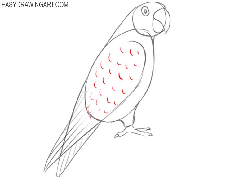 how to draw green parrot step by step