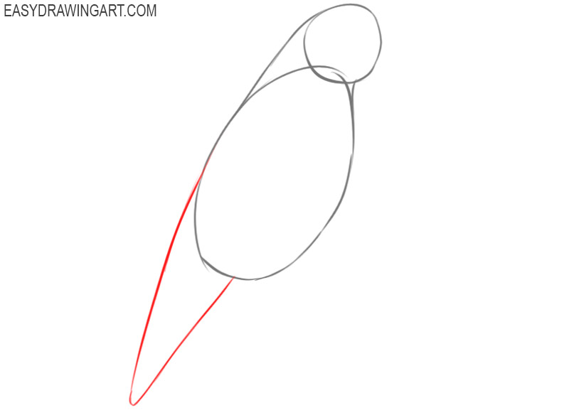how to draw a parrot step by step easy