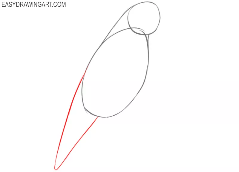 how to draw a parrot step by step easy
