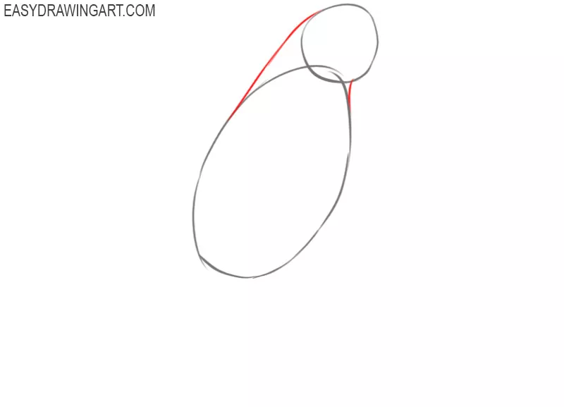 how to draw a parrot step by step