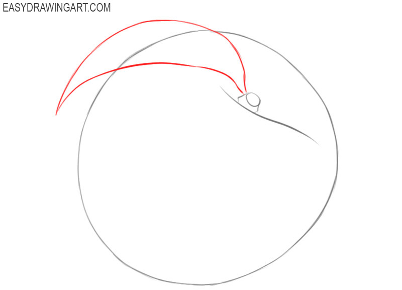 how to draw cute peach