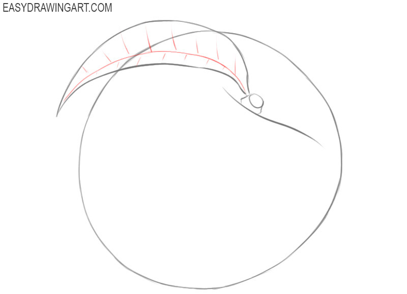 easy way to draw a peach