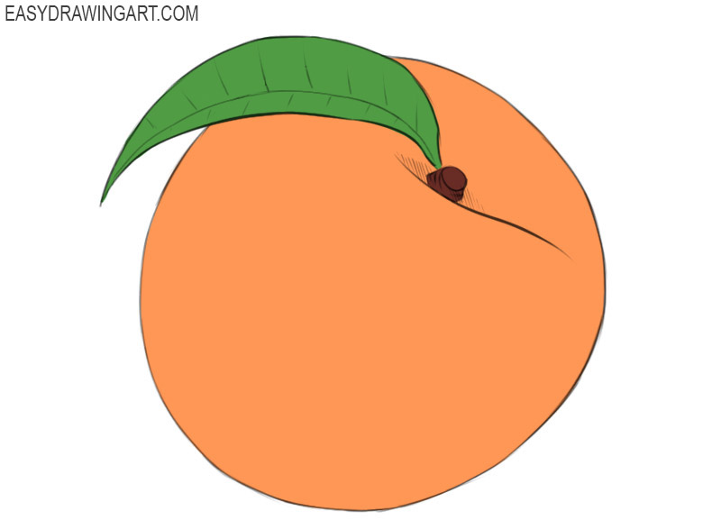 how to draw a peach