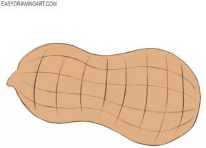 How to draw a peanut
