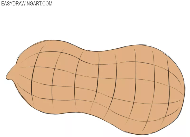 how to draw a peanut