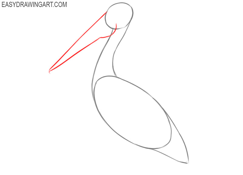 how to draw a pelican bird