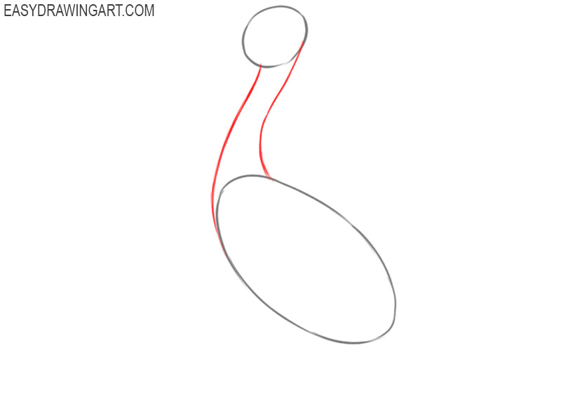 how to draw a pelican step by step