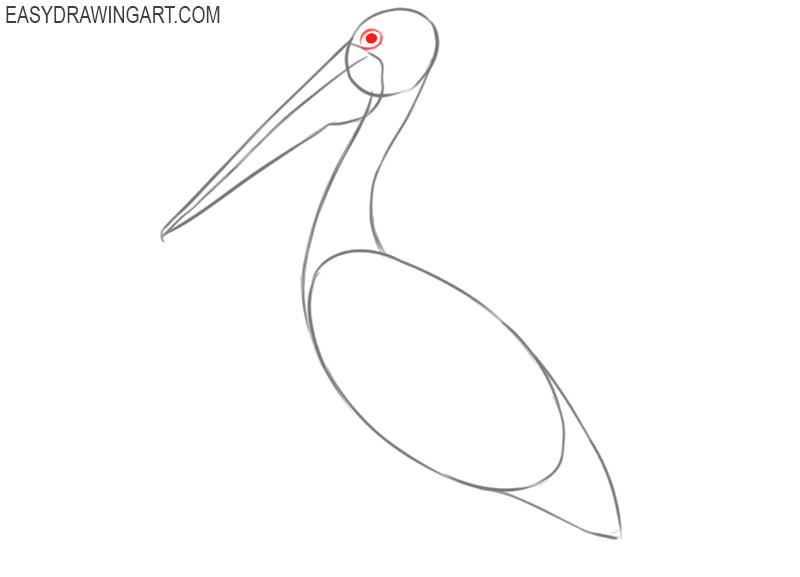 how to draw a simple pelican