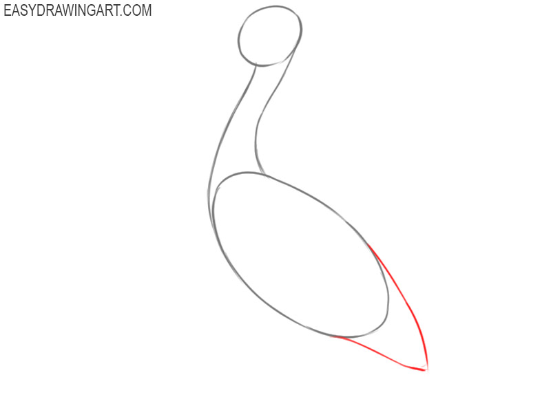 how to draw a pelican step by step easy