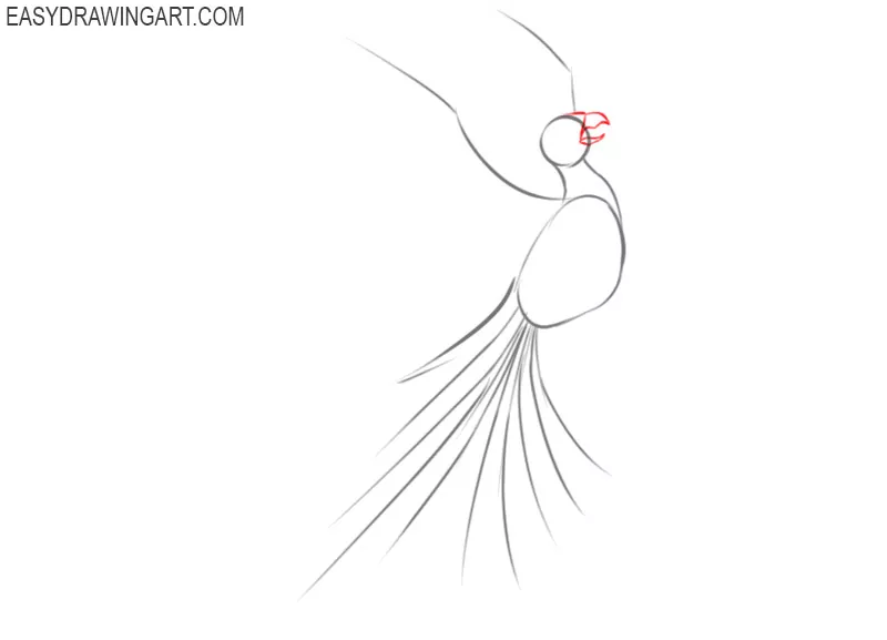 how to draw a phoenix bird