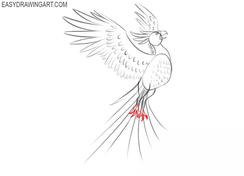 phoenix drawing color