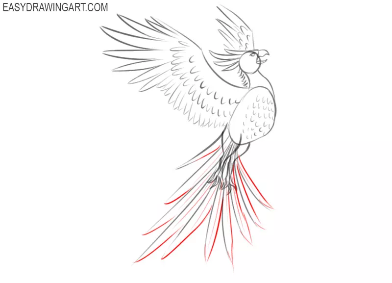 phoenix drawing simple