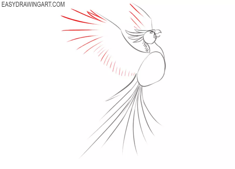 how to draw a cartoon phoenix