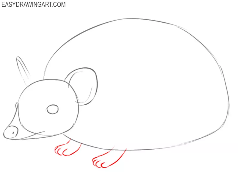 how to draw a picture of a hedgehog 