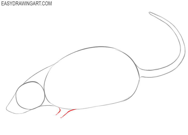 how to draw a picture of a rat