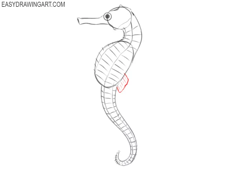 how to draw a picture of a seahorse