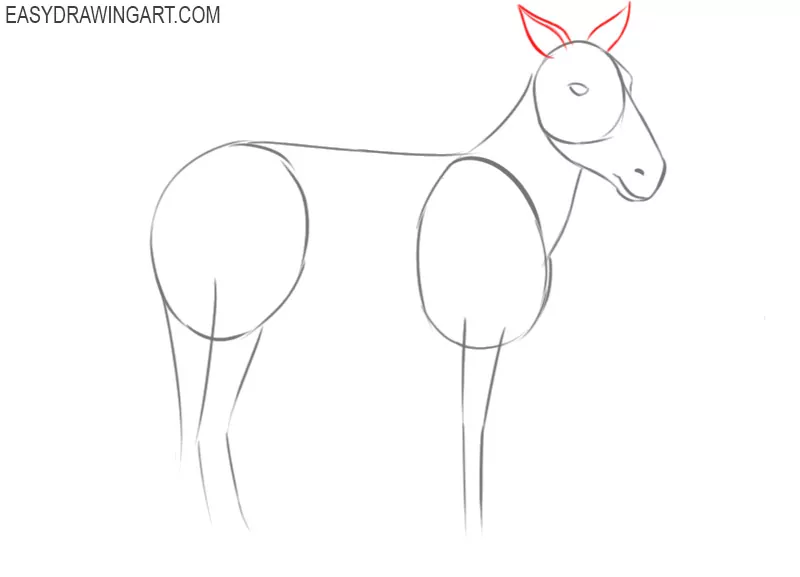 how to draw a picture of a zebra