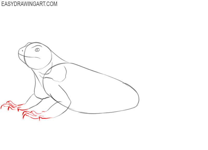 how to draw a picture of iguana