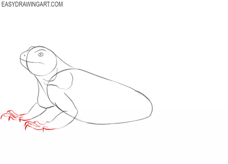 how to draw a picture of iguana