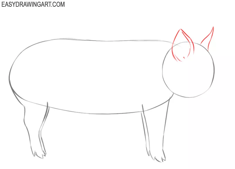 simple pig outline