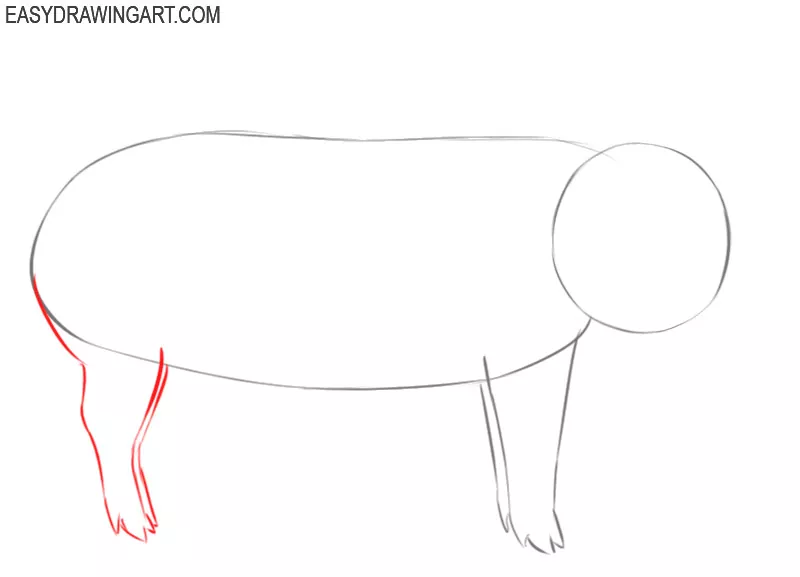 how to draw a pig cute