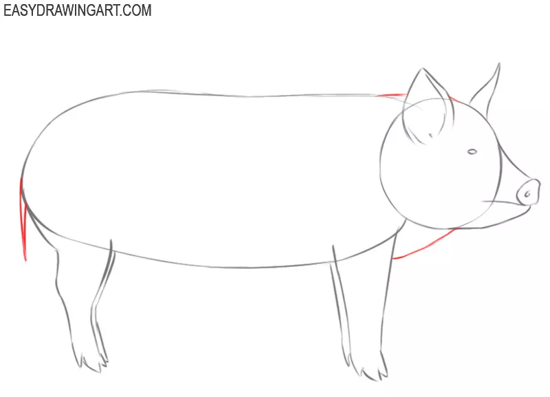 how to draw a pig easily