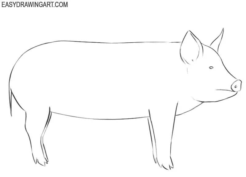 how to draw a pig face step by step easy