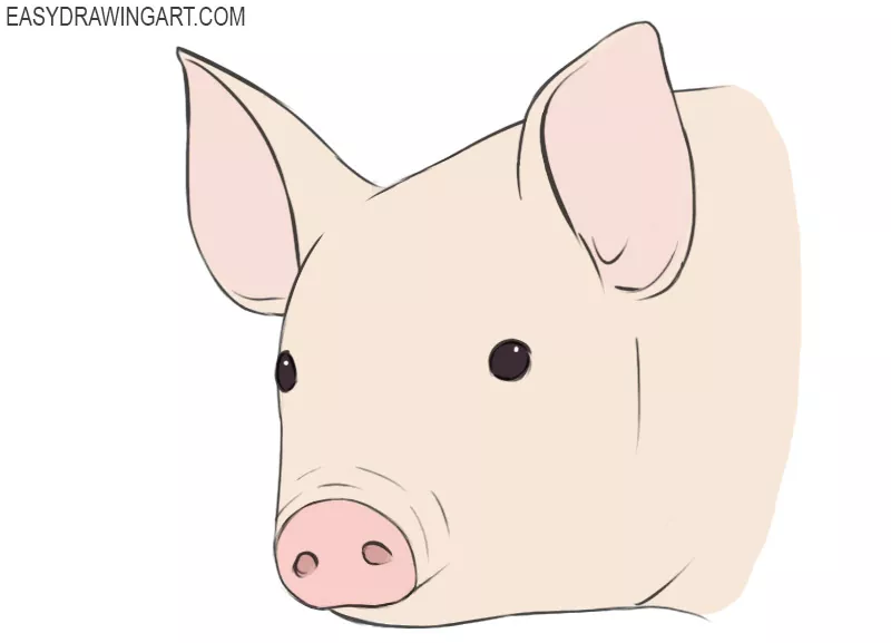 how to draw a pig face